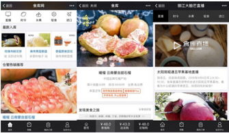 杭州四喜托管可信嗎？事實說話 食庫網農產品基地加工與品牌營銷的領航者