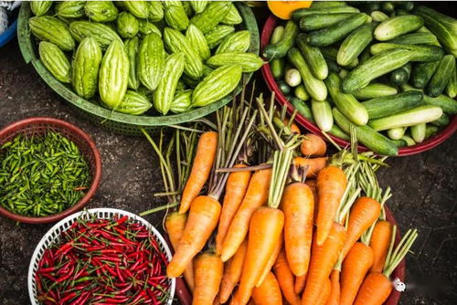 2020關鍵年 探索他國生態循環農業模式，深化食用農產品初加工發展